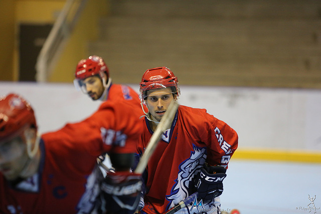 Un derby pour les Yeti’s Grenoble en coupe de France